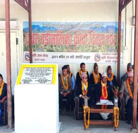 बडीमालिका नगरपालिकाद्धारा  कोदो दिवस मनाईयोे