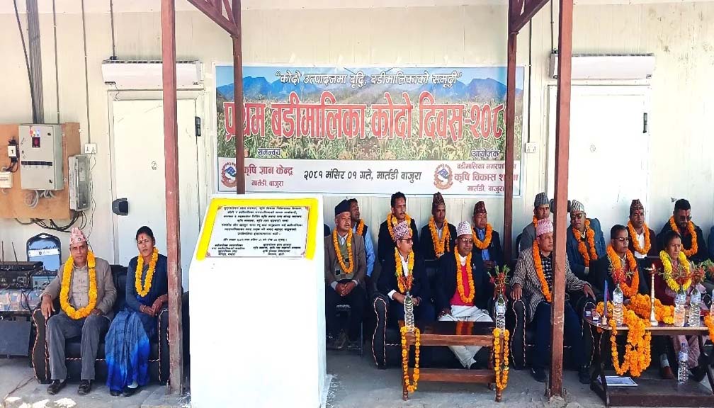 बडीमालिका नगरपालिकाद्धारा  कोदो दिवस मनाईयोे