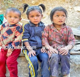 बाजुराको बिच्छयाँमा तीन भाईबहिनी बिचल्लीमा