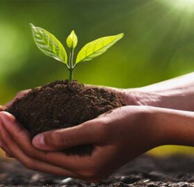 आज विश्व माटो दिवस मनाइँदै