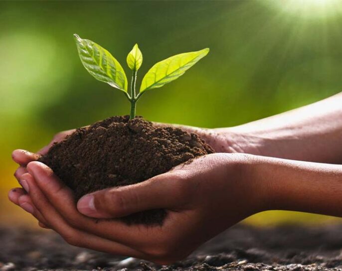 आज विश्व माटो दिवस मनाइँदै