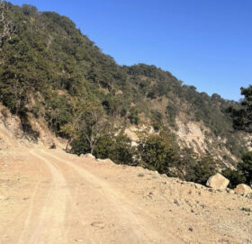 सेती लोकमार्गको भोकाधिकार र रुख कटान आदेश दिने सहमति