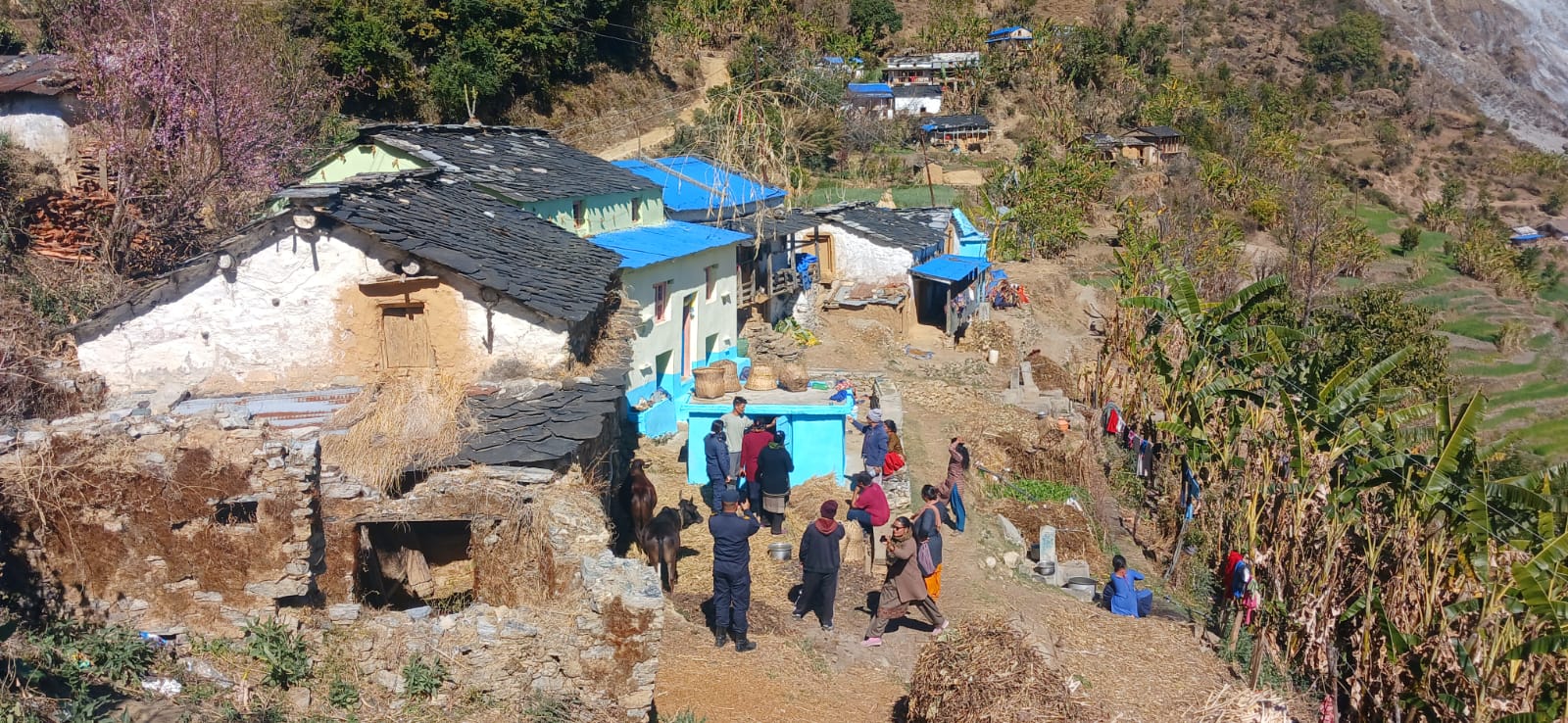 बाजुराकाे बडीमालिका–१ लाई छाउपडी गोठमुक्त वडा घोषणा गर्ने तयारी