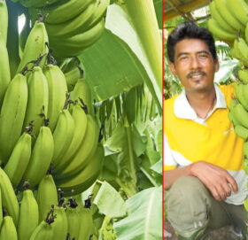 जो मजदुरबाट मालिक बने