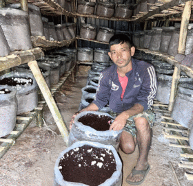 डोटीमा जयबहादुरले सुरू गरे व्यावसायिक गोब्रे च्याउ उत्पादन