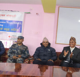 जिल्ला विपद् प्रतिकार्य समूह तालिम मार्तडीमा सुरु