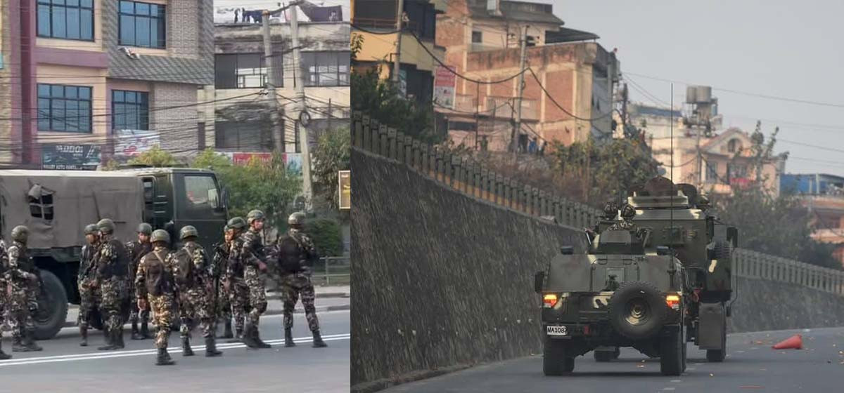 तीनकुने क्षेत्रमा सेना परिचालन