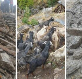 हुम्लामा वर्षासहितको बाढी, १० भन्दा बढी घर पसलमा क्षति