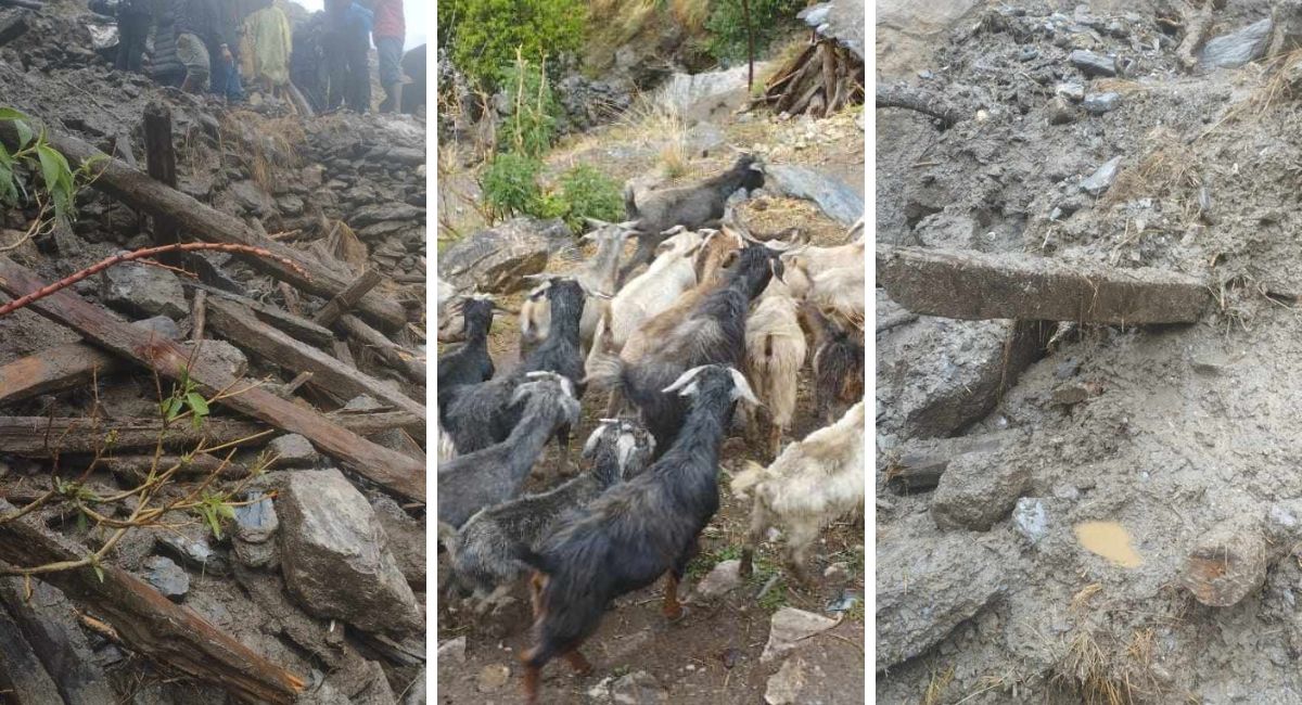 हुम्लामा वर्षासहितको बाढी, १० भन्दा बढी घर पसलमा क्षति