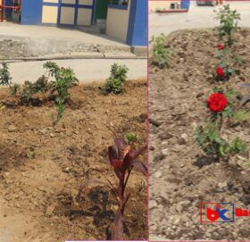 बाजुरा अस्पताललाई ‘ग्रीन गार्डेन’ बनाउने अभियान (तस्वीरहरु)