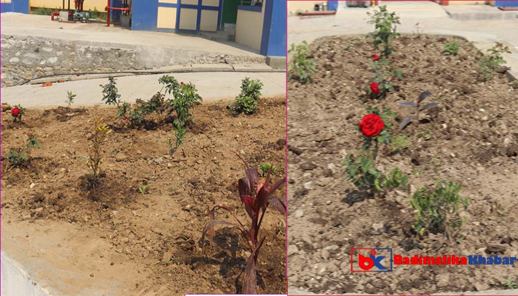 बाजुरा अस्पताललाई ‘ग्रीन गार्डेन’ बनाउने अभियान (तस्वीरहरु)