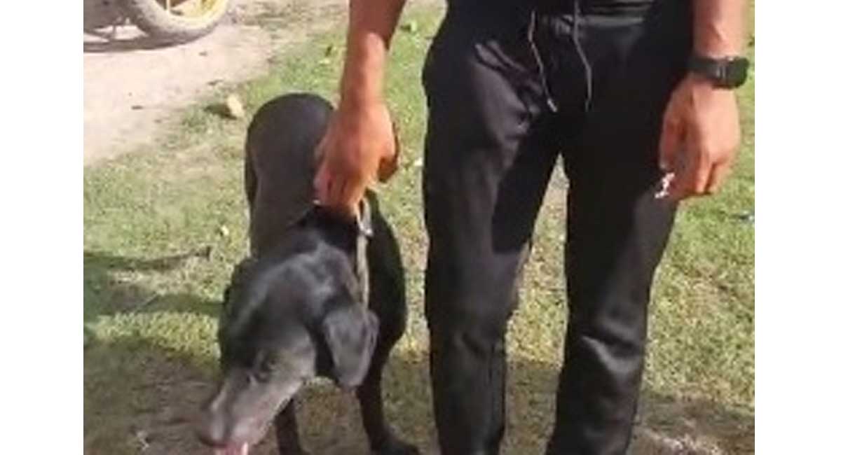 कुकुरको प्रयोग गरेर लागुऔषध ओसारपसार