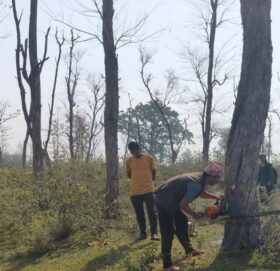 दोधारा चाँदनी सुक्खा बन्दरगाह निर्माणका लागि  रुख कटान सुरु