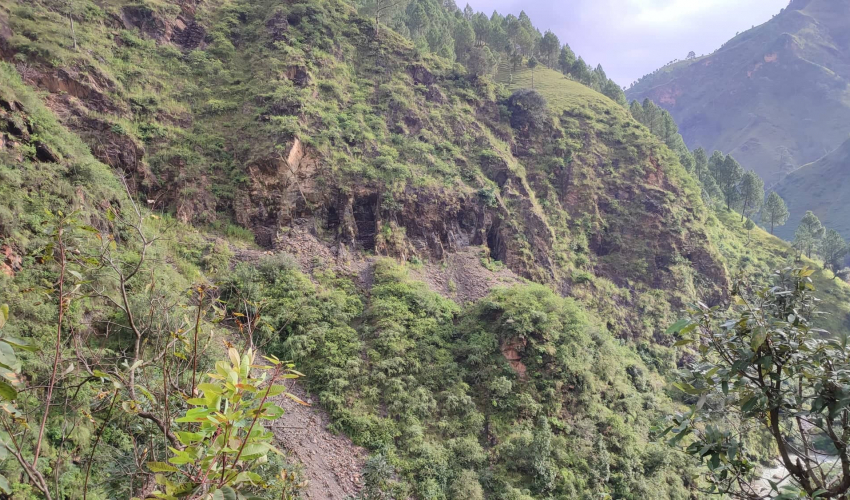 बैतडीमा भीरबाट लडेर एक महिलाको मृत्यु