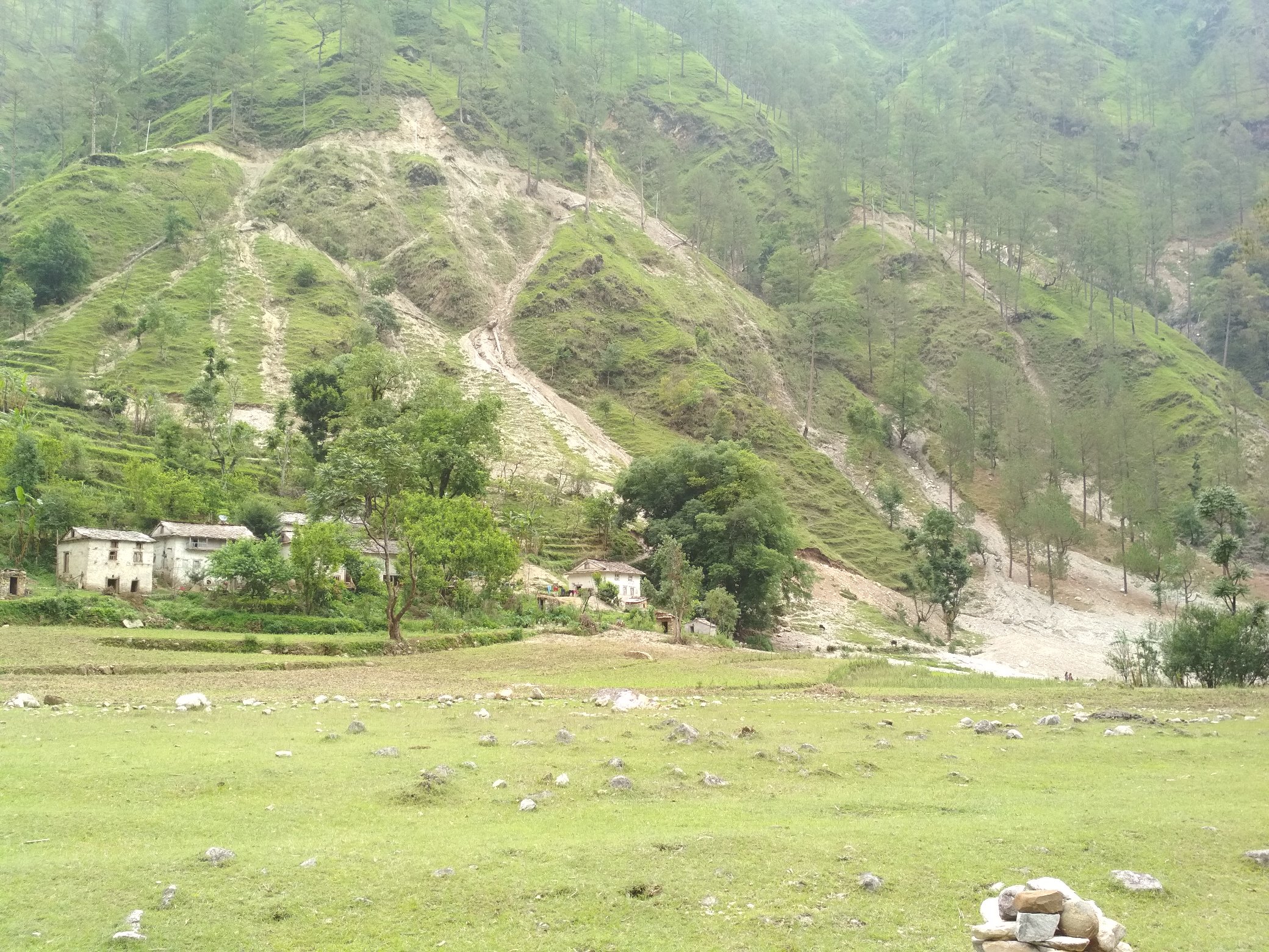 बाजुरामा वातावरणीय अध्ययन विनै खनिंदै सडक