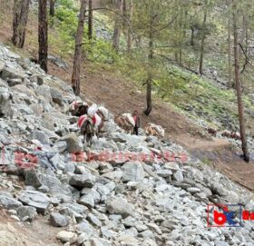 बाजुराको सर्वाधिक विकट बिच्छ्याँमा खाद्य बिक्री केन्द्र