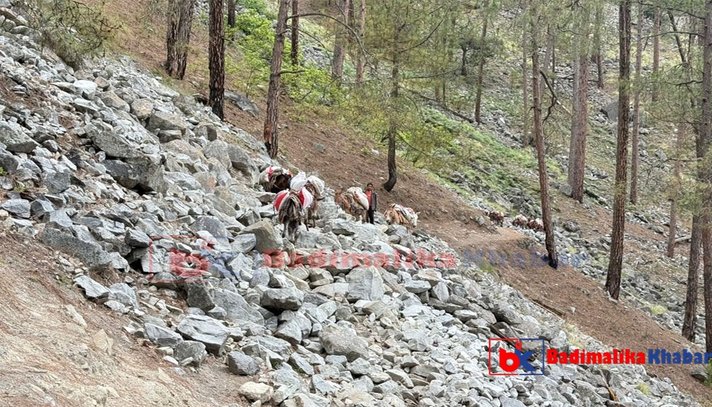 बाजुराको सर्वाधिक विकट बिच्छ्याँमा खाद्य बिक्री केन्द्र