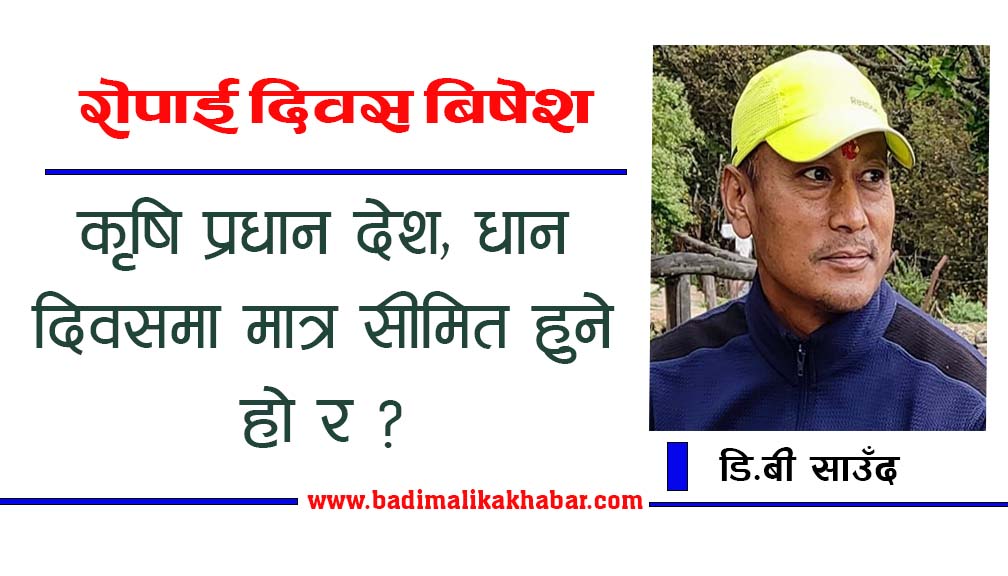 कृषि प्रधान देश, धान दिवसमा मात्र सीमित हुने हो र ?