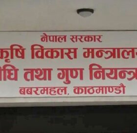 आज विश्व खाद्य स्वच्छता दिवस मनाइँदै