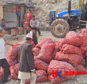बाजुराको स्वामीकार्तिकमा २ सय क्विन्टल प्याज उत्पादन