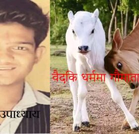 वैदिक धर्ममा गौमाताको महत्व