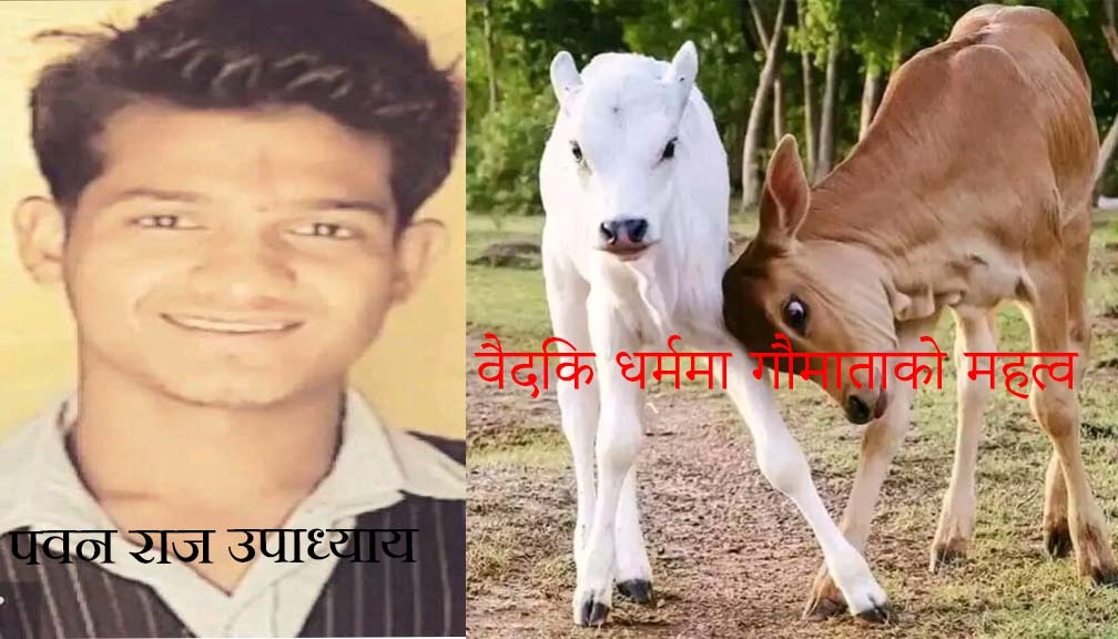 वैदिक धर्ममा गौमाताको महत्व