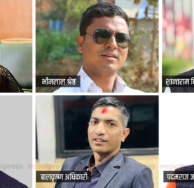 प्रेस काउन्सिलमा ६ सदस्य नियुक्त, प्रेस युनियन र चौतारीबीच भागबन्डा