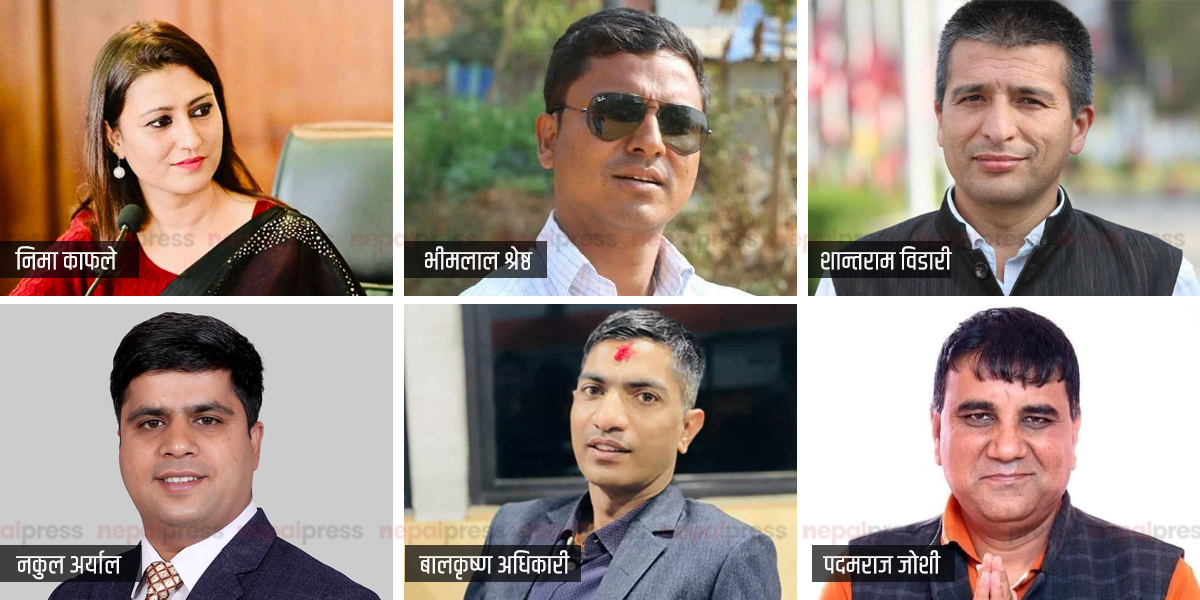 प्रेस काउन्सिलमा ६ सदस्य नियुक्त, प्रेस युनियन र चौतारीबीच भागबन्डा