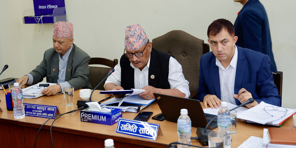 शिक्षा विधेयक भोलि पारित गर्ने समितिको तयारी