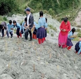 पहिरो रोकथामका लागि भेटिभर वृक्षारोपण कार्यक्रम सम्पन्न