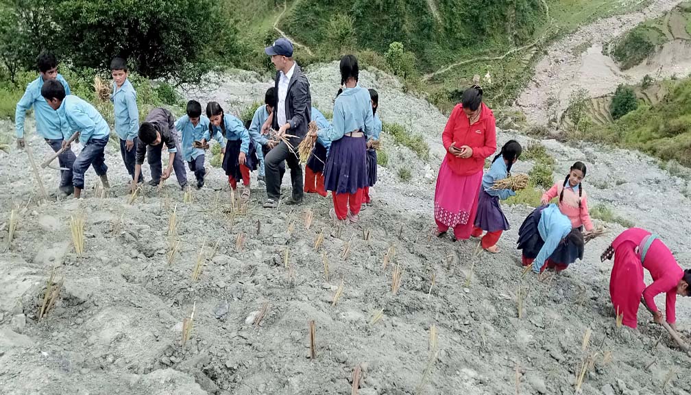 पहिरो रोकथामका लागि भेटिभर वृक्षारोपण कार्यक्रम सम्पन्न