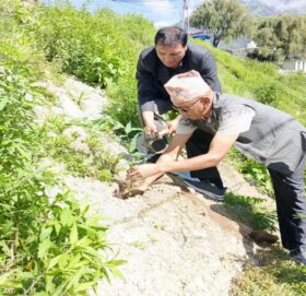 बाजुरामा पनि ४३ औं बिपी स्मृति दिवस वृक्षारोपण गरेर मनायो