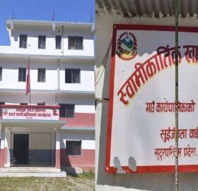 गौमुल र स्वामिकार्तिक गाउँपालिकाद्धारा करार कर्मचारीलाई हाजिर नगर्न आग्रह
