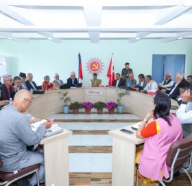 विद्या भण्डारीको सदस्यता नवीकरण पेन्डिङमा, पार्टीले पछि निर्णय गर्ने