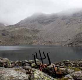 आज विश्व ताल दिवस