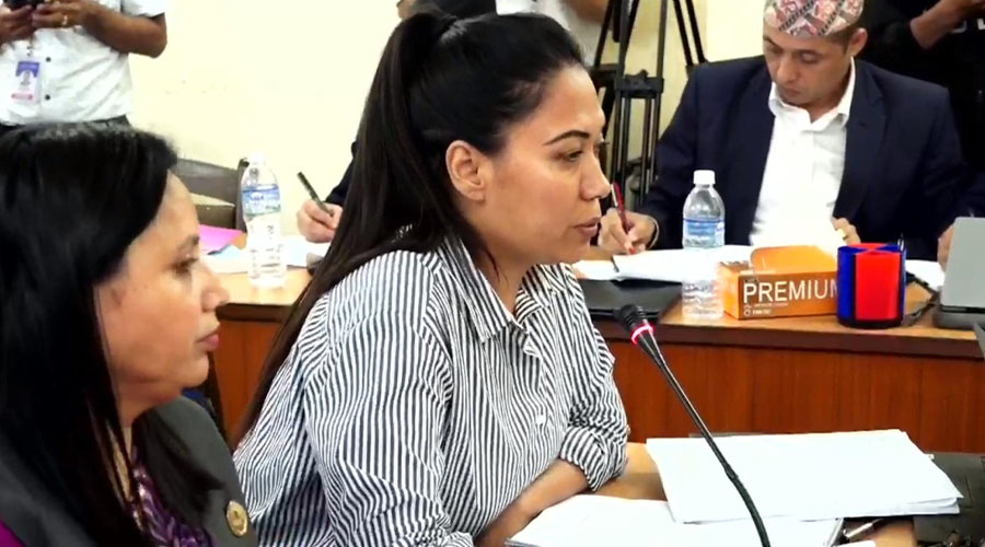 विधेयकमा विद्यालय, विश्वविद्यालय बन्द गर्न नपाउने व्यवस्था राखौं : सुमना श्रेष्ठ