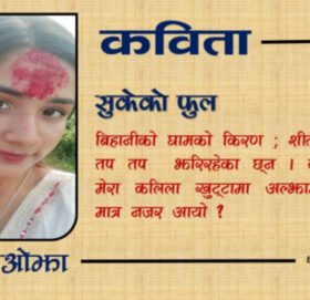 सुकेको फूल–कविता