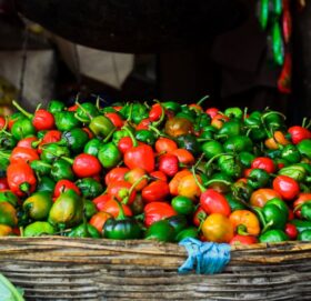 फेरि भेटियो अकबरे खुर्सानीमा अत्यधिक विषादी