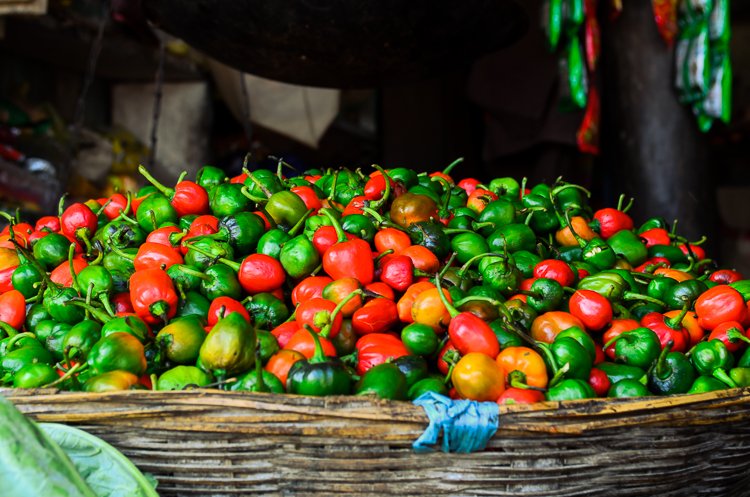 फेरि भेटियो अकबरे खुर्सानीमा अत्यधिक विषादी