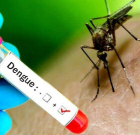 बैतडीमा अठार जनामा डेङ्गी सङ्क्रमण