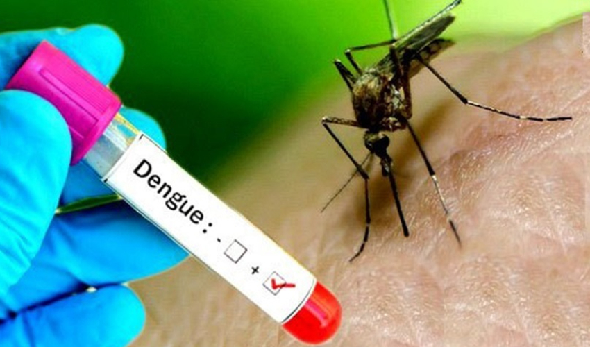 बैतडीमा अठार जनामा डेङ्गी सङ्क्रमण