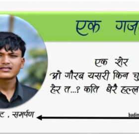 कुरा काटेर मेरै हल्ला चलेको छ