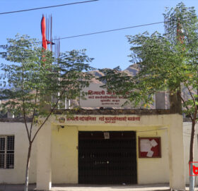 हिमालीमा जडीबुटी अवैध चोरी–निकासी हुन थालेपछि पालिकाले थाल्यो निगरानी