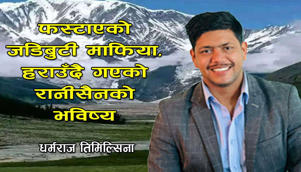 फस्टाएको  जडिबुटी माफिया, हराउँदै गएको रानीसैनकाे भविष्य