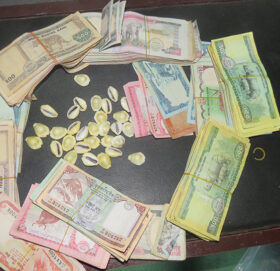 कैलालीमा जुवा खेलिरहेका ७ जना पक्राउ