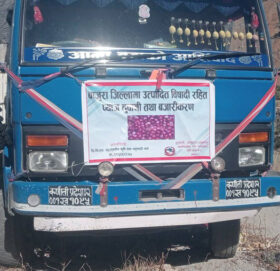 बाजुराको प्याज नेपालगन्जमा अलपत्र