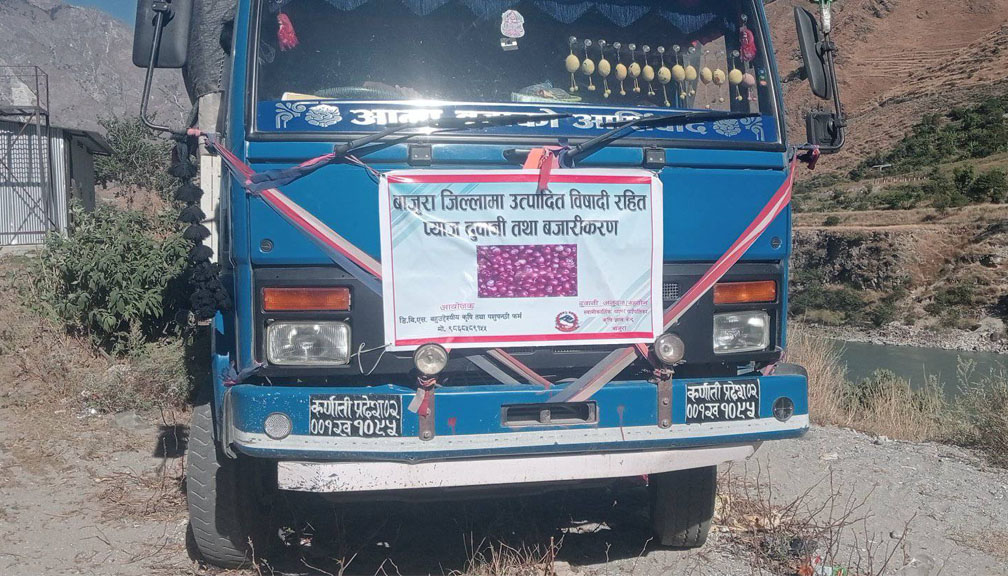 बाजुराको प्याज नेपालगन्जमा अलपत्र