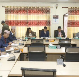 सांसदका ८७५ स्वकीय सचिव खारेज, संघ र सातै प्रदेश सभाका पदाधिकारी रुष्ट