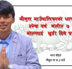 गौमुल गाउँपालिका-३ धल्काँडाकाे ‘मैझाडो’, गोरुलाई छुट्टी दिने पर्व