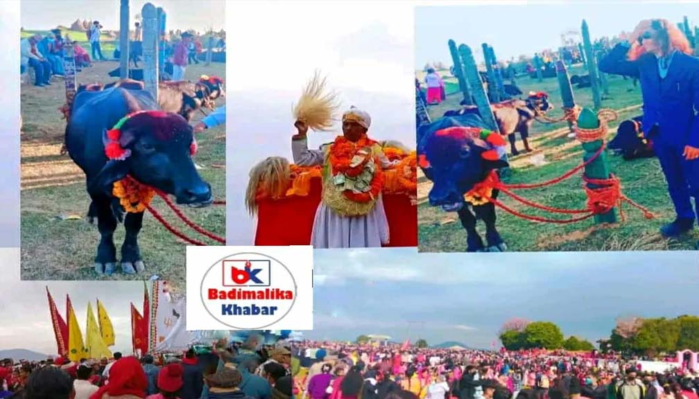 मेलौली भगवती मन्दिरमा मेला सुरु : बलिप्रथामाथि प्रश्न